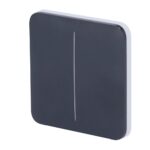 SoloButton (2-gang) [55] ASP