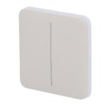 SoloButton (2-gang) [55] ASP