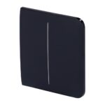 SideButton (2-gang) [55] ASP