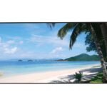 Dahua - Monitor LED Uhd 49''.