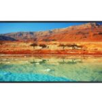 Dahua - Monitor LED 4k 64.5"