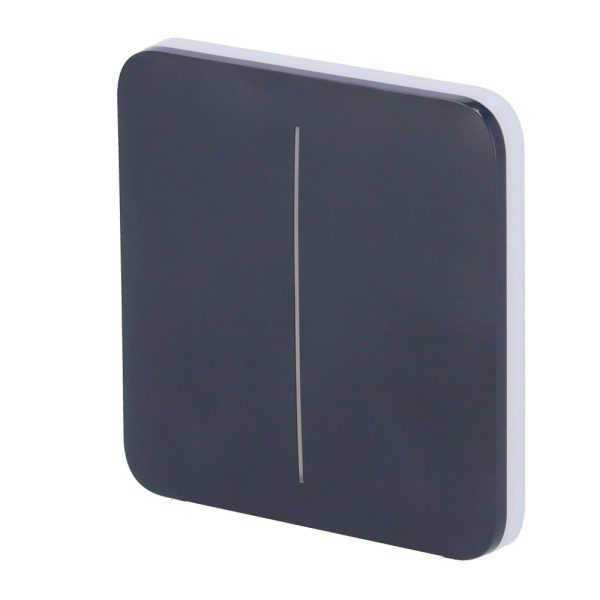SoloButton [55] graphite 2-gang