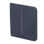 SideButton [55] graphite 2-gang