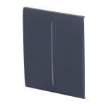 CenterButton [55] graphite 2-gang