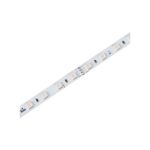 Striscia LED bianca, IP67, 160 W/m, nastro da 5 m
