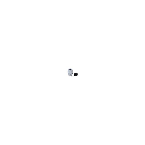 Pressacavo aggiuntivo G3/4" per scatole di montaggio telecamere MyEye