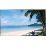 Monitor LED 4K 43" 450 nit 24/7