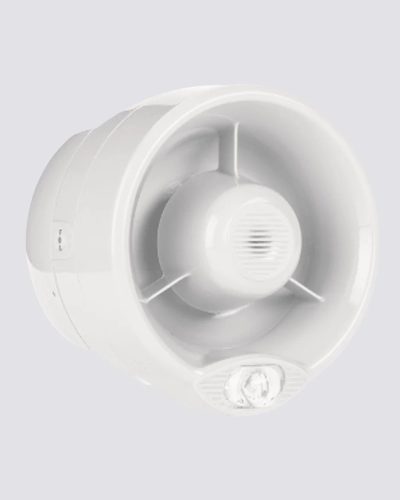 WS2020WE-6.jpg